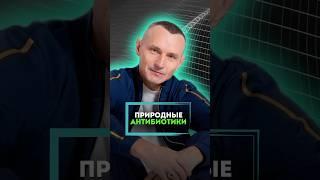 Природные антибиотики #алексейкапустин #докторкапустин #народнаямедицина #антибиотик #природа