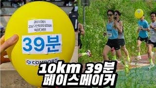 10km 39분 페이스메이커 다녀왔습니다(feat.강남구연맹회장배육상대회)