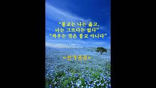 #선가귀감##김이현 定慧#禪어록,#참선 ,#선불교,#간화선 ,#명상,#수행,#수행#자신과의 만남,