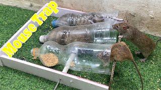 DIY mousetrap / The most effective mousetrap 2023