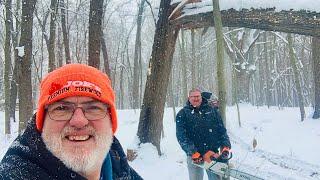 FIREWOOD | Cutting down/bucking/splitting "7" oak tree