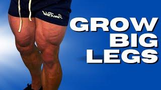 Leg Brutality......This Workout Will Test You | Lead MountainDogDiet Coach