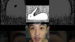 97. Brain Teaser- Duck or Rabbit @teddywang86 #teddywang86 #meme #memes #nfts