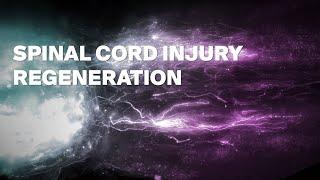 Regeneration across complete spinal cord injuries reverses paralysis in mice