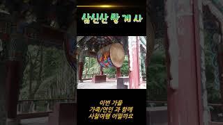 쌍계사 가을여행 가족 연인 사찰 놀러가세요