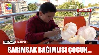 Sarımsak bağımlısı çocuk...