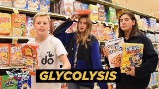 Glycolysis - Science Rap Academy