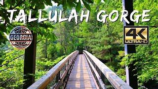 Tallulah Gorge 4K UHD