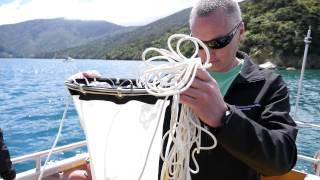 Air NZ Greenteam research the wildlife down under