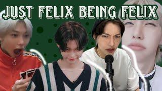 felix being stray kids' UNOFFICIAL PABORACHA MEMBER