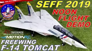 Freewing F-14 Tomcat Noon Demo at SEFF 2019