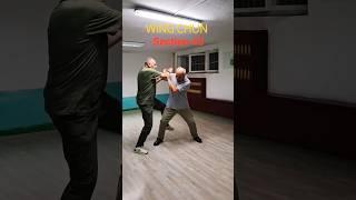 Wing Chun vs street attacker-Master Naumov-Phoenix #wingchun #wingchunkungfu #martialarts #sports