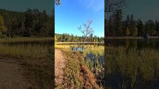 saariselkä Iiskonlompolo Lappi Inari #lappi #nature