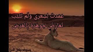 أثرت هزبر الشرى إذ ربض [ضادية ابن زيدون ]