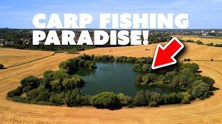 Carp Fishing Paradise! Dave Levy takes on 'The Mill' | Mainline Baits Carp Fishing TV