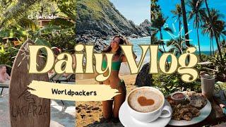 How I afford to travel for free Worldpackers- Daily Vlog