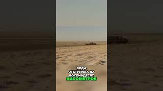 Как река Сырдарья изменила наш мир #дом #home #документальный #documentary