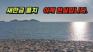 군산새만금 풀치낚시 기대하시고 가시는분들 이게 현실조과입니다.