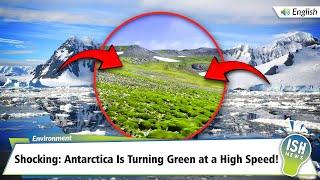 Shocking: Antarctica Is Turning Green at a High Speed! | ISH News