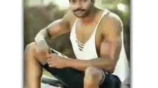 I love u sir mari tiger