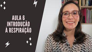 Aula 6 – Introdução à respiração