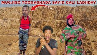 DEGDEG SAYID CALI WALAASHIIS DIIDEY TOOGASHADA TUUTE XIRATAY HANJABAAD CULUS