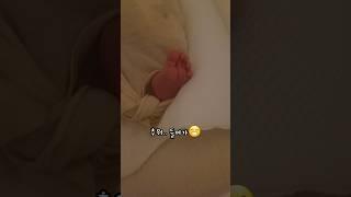 한밤중에 나오지 말아야할것이 나왔다. #겸담 #24일