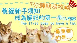 【橘貓軍團】養貓新手須知 成為貓奴的第一步(入門版) The First Step to Have a Cat