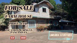 (V421) FOR SALE 3.9 HECTARES FARM HOUSE, GANDA NG PROPERTY NA ITO AT MAGANDA DIN IDEVELOP, CHECK MO.