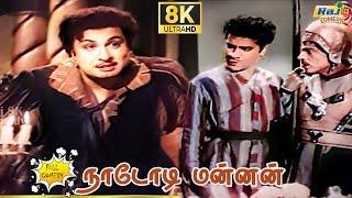 Nadodi Mannan Movie 8K Full Comedy | M. G. Ramachandran | P Bhanumathi | Chandrababu | Raj 8k Comedy