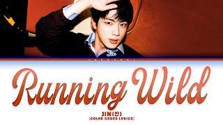 Jin (진) 'Running Wild' (Color Coded Lyrics)