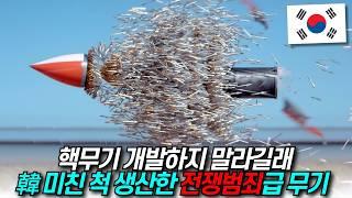 핵무기 개발하지 말라길래... / 디씨멘터리