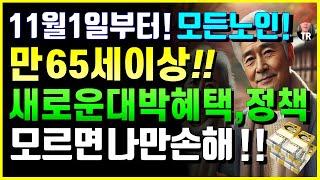 11월 1일부터 모든노인 만 65세이상 새로운 대박 혜택 '이것' 무료! 모르면 나만손해! 노인연령상향 정년연장 노인일자리 기초연금중단 통신비할인 등 [시니어특급뉴스 11월]