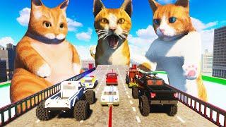 Cars vs I Am Cat | Teardown