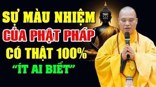 Sự Màu Nhiệm Của Phật Pháp Có Thật 100% Của Phật Tử Được Thầy Kể Lại "- Thầy Thích Đạo Thịnh