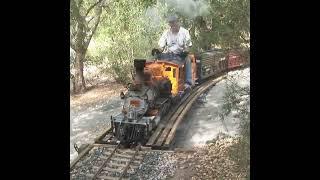 Beautiful backyard live steam train! #shorts