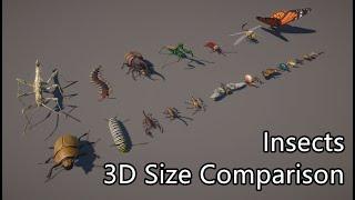 Insect size comparison 3D | Largest insect