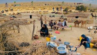 Desert Woman morning routine in Punjab | Traditional Pakistan Village Life  punjab