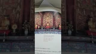 사찰상징의세계-대웅전과 대웅보전