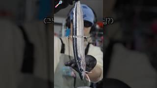이걸 회로 먹는다구요? #shorts