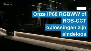 LED verlichting voor Steiger | Project | LED-Gigant.nl | 2022