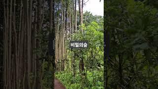 2025년 6월 16일