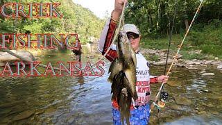 Creek fishing in Arkansas (Catch and Cook)