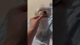 몸과 맘이 따로 놀면 생기는 일