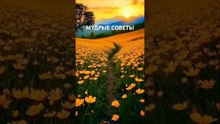 Мудрые советы #цитатыпрожизнь #любовь#рекомендации #мудрыеслова#жизнь#мышление #вдохновение #shorts