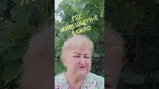 Зарабатывай со мной ,обучение бесплатное,вывод денег 100% на карту.