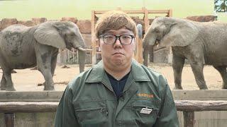 急遽 動物園でバイトすることになりました