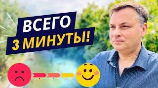 Работа с эмоциями. Самое короткое руководство!