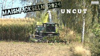 Kleines Feld sauber abernten - Maishäckseln UNCUT - Lohnunternehmen Spitzner - Claas Jaguar 970