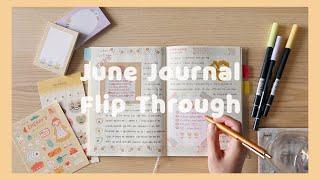 Daily Journal Flip Through | June 2021️